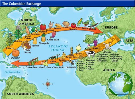 Colombian Exchange Diagram | Quizlet