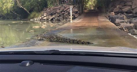 Man killed in horrific crocodile attack as he attempts to walk over notoriously dangerous river ...