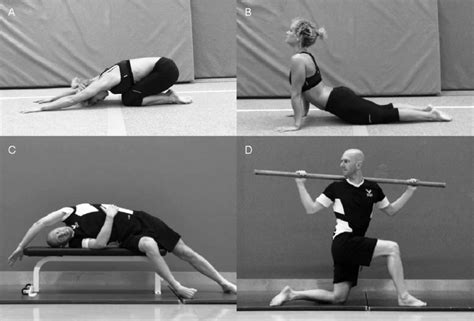 Examples of mobility development exercises. A, Flexion. B, Extension.... | Download Scientific ...