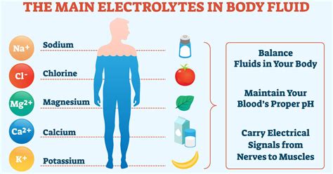 Examples of Electrolytes: Basic Explanation and Purpose | YourDictionary