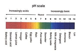 Ph Scale Examples