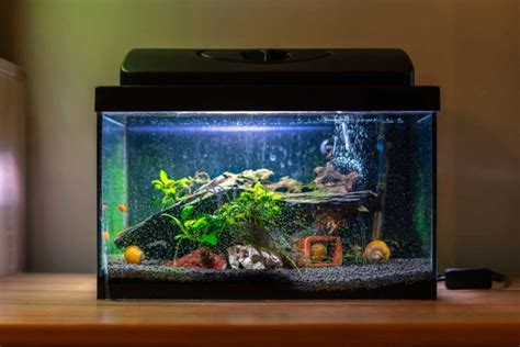 27 Small Fish Tank Ideas - Complement Your Home With Style!