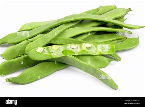 common bean Stock Photo - Alamy