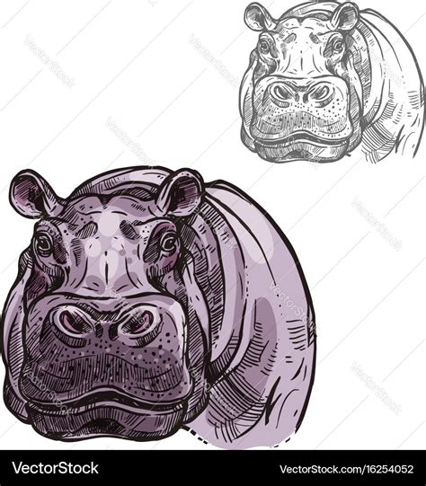 Hippopotamus hippo wild animal sketch icon Vector Image