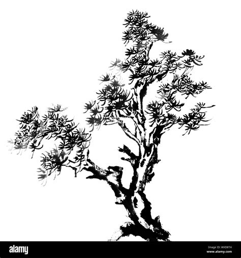 Chinese traditional ink painting, pine tree on white background Stock ...