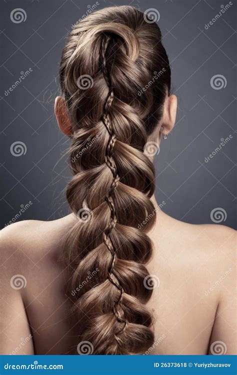 Long Brown Hair. Back View stock photo. Image of brunette - 26373618