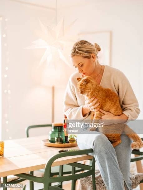 Orange Cat Cuddling Photos and Premium High Res Pictures - Getty Images