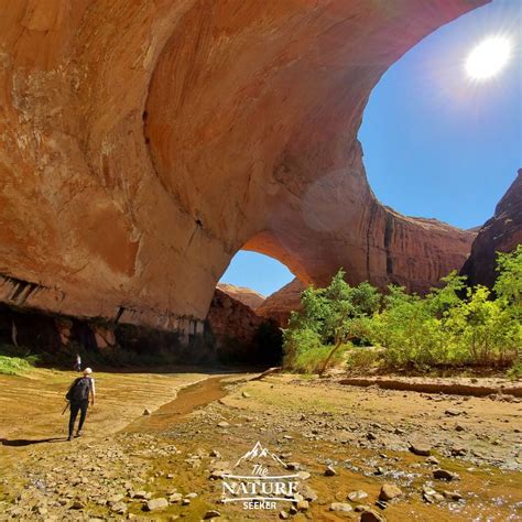 17 of The Best Hiking Trails to Explore in Utah