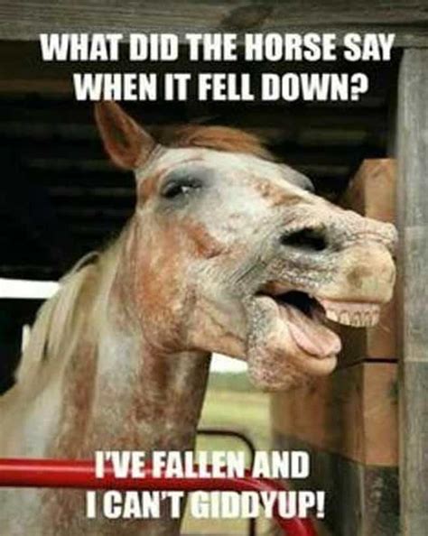 Horse Puns | 17 Funny Horse Memes That'll Make You Neigh