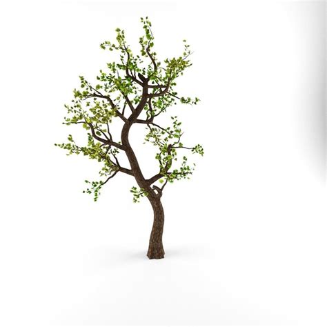 3D model Animated Tree | CGTrader