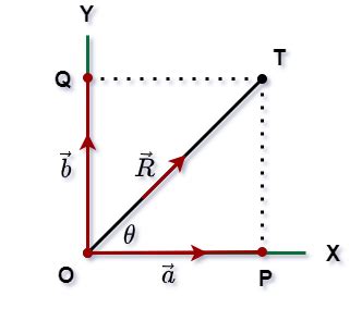 What are Vectors in Physics?