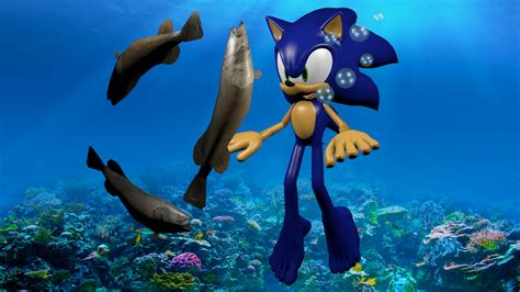 Sonic fish tricks by Korey-SonicFan22 on DeviantArt