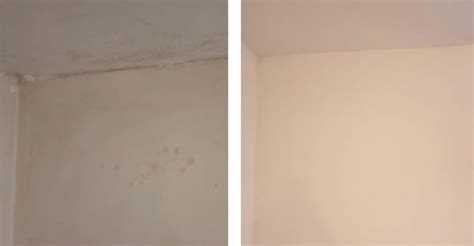 Best Anti Mould Paint in the UK | Voted for By Professionals