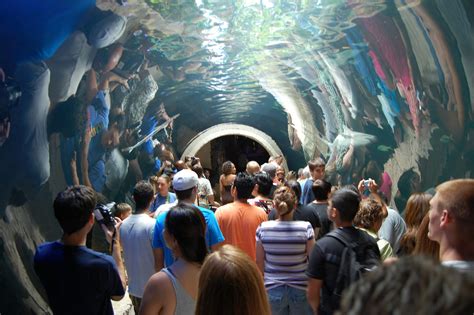 Dallas World Aquarium | Things to Do in Dallas With Kids