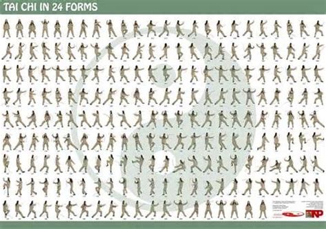 Tai Chi 24 Form Yang Style - BenqoRiddle