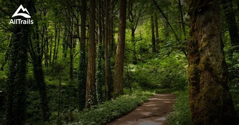 10 Best hikes and trails in Forest Park | AllTrails