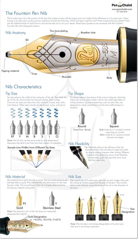 Fountain Pen Nib Infographic by | Fountain pen nibs, Pen nib and Fountain pens