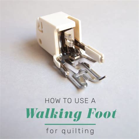 How To Use A Walking Foot For Quilting | Designed to Quilt