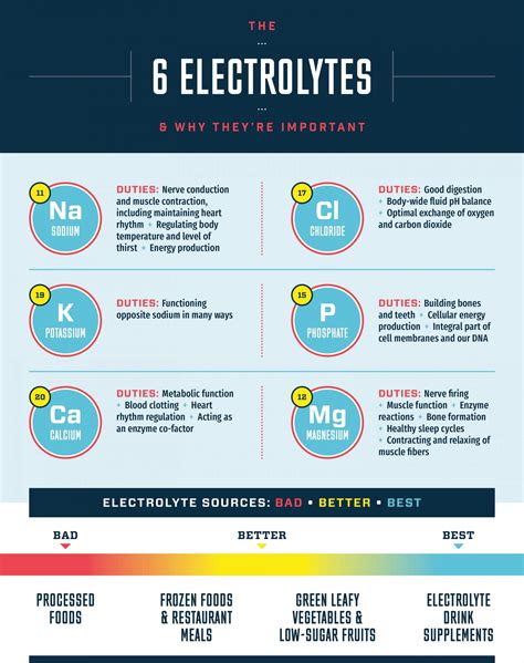 6 Electrolytes & Why They're Important | KeyNutrients – Key Nutrients