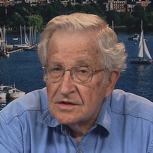 Noam Chomsky: Israel’s Actions in Palestine are "Much Worse Than Apartheid" in South Africa ...