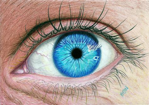 Realistic Eye by Bajan-Art on DeviantArt