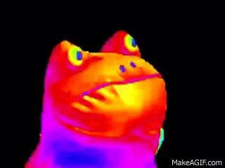 MLG Frog Meme on Make a GIF