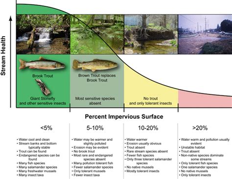 How Impervious Surface Impacts Stream Health