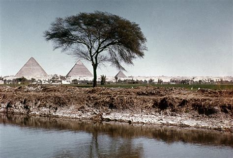 The Nile & Pyramids At Giza Photograph by Granger - Fine Art America