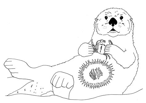 Sea Otter Drawing at GetDrawings | Free download