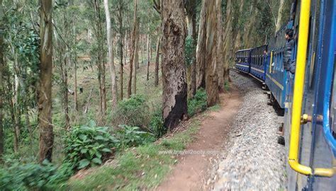 Ooty Train - Toy Train Booking, Ticket Fare & Timing, Mettupalayam To ...