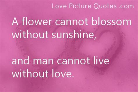 Blossom Quotes. QuotesGram