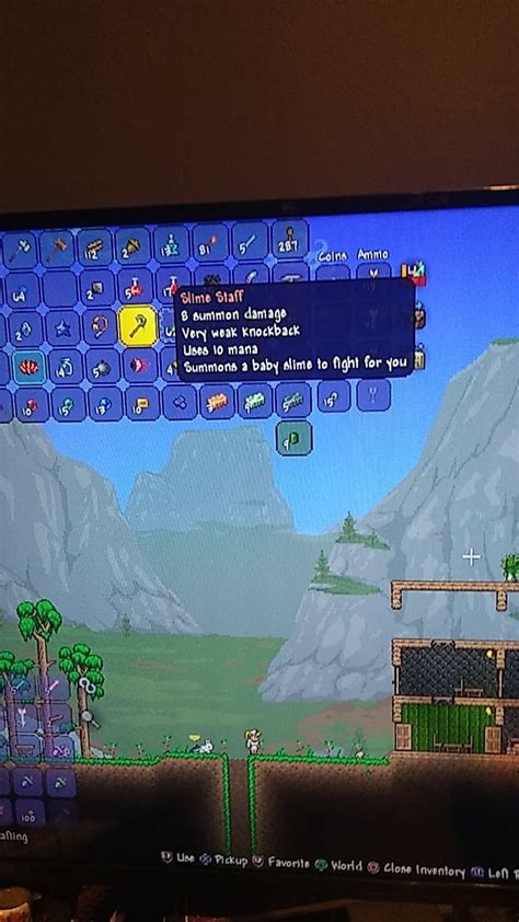 I got slime staff in 2 hours of playing : r/Terraria