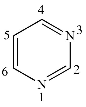 Illustrated Glossary of Organic Chemistry - Pyrimidine