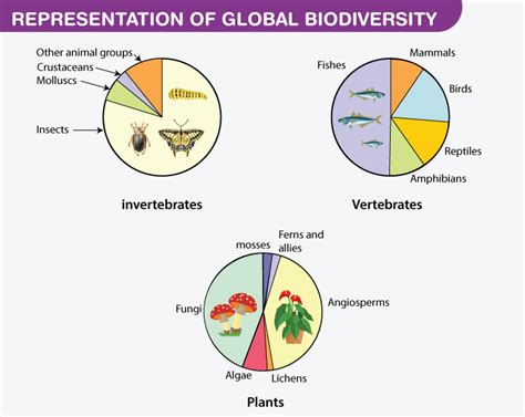 Species Diversity: Definition, Importance, Examples, Threats, Conservation (2022)