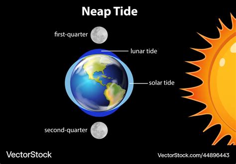 Neap Tide Diagram