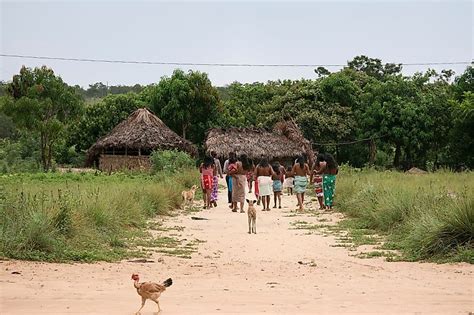 Cerrado Biodiversity Hotspot - WorldAtlas