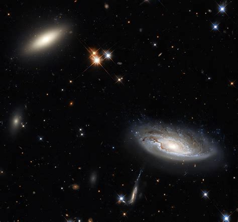 Hubble Captures Two Gargantuan Galaxies in the Perseus Galaxy Cluster