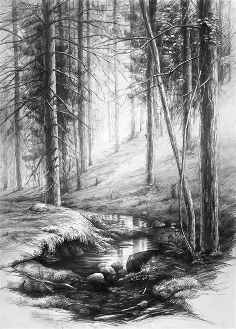 forest interior inspired by Ivan Shishkin works pencil drawing 50x70 ...