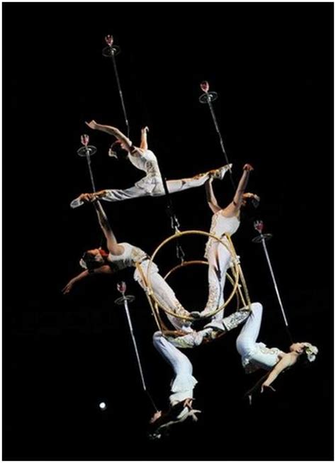 Beautiful Acrobatic Art Festival – Moolf