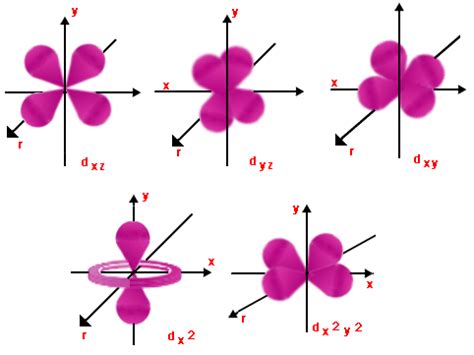 Shapes of Atomic Orbitals — Overview & Examples - Expii