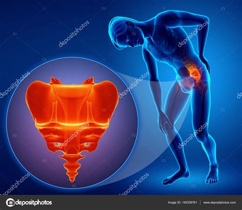 3d illustration of sacrum bone pain Stock Photo by ©pixdesign123 145338761