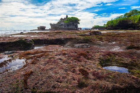 Premium Photo | Pura tanah lot temple bali