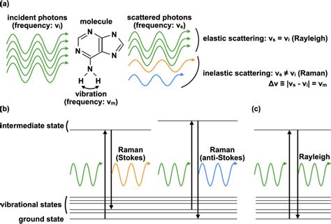 Illustration of Raman scattering and Rayleigh scattering processes. (a)... | Download Scientific ...