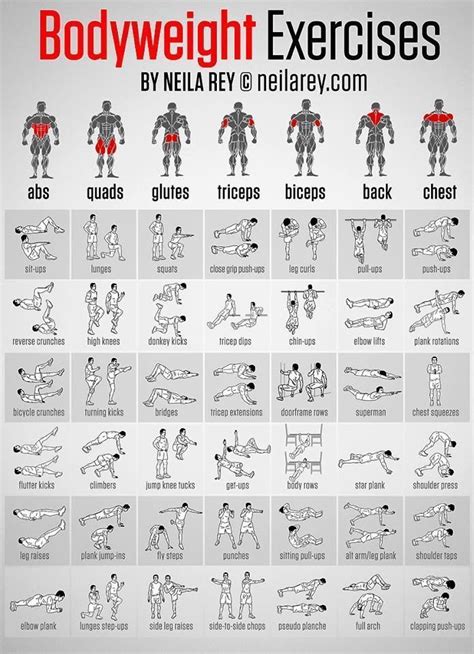 Body Weight Exercises fitness #exercise health healthy living home ...