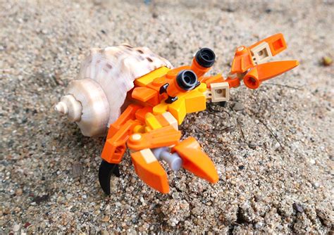 A LEGO Hermit Crab Wearing a Real Shell