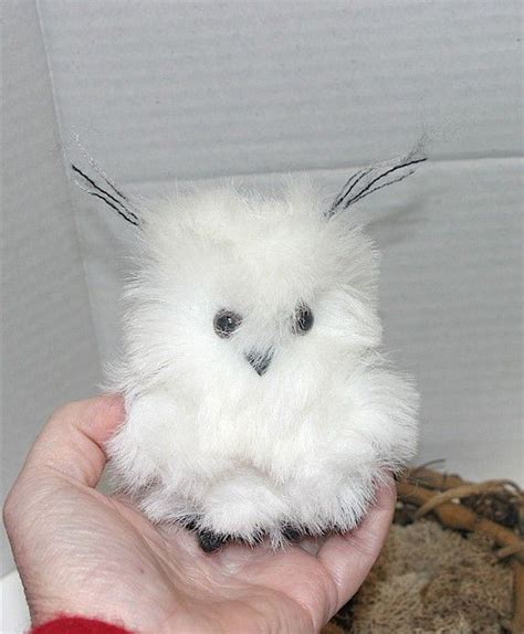 Pin on Snowy Owls