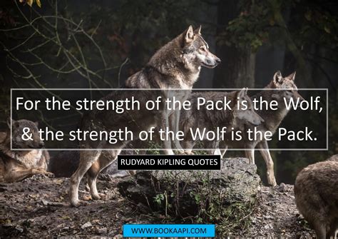 9 Amazing Rudyard Kipling Quotes from The Jungle Book