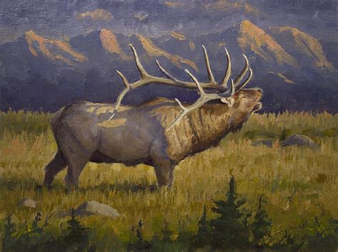 Oil Paintings by Jason Tako: Elk