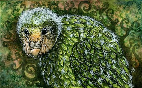 Baby kakapo by THE-RAttie on DeviantArt