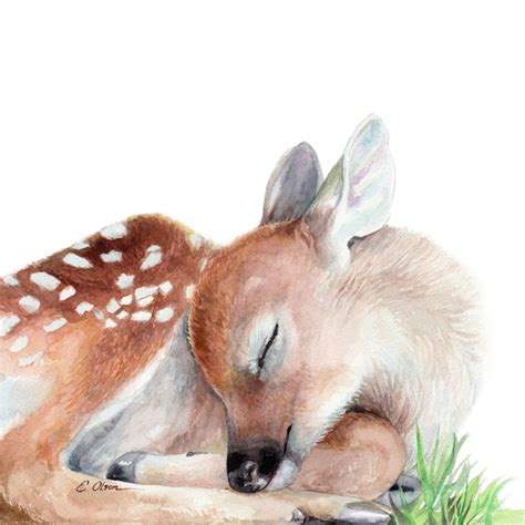 Baby Deer Gift Sleeping Baby Deer Art Print Watercolor Fawn | Etsy